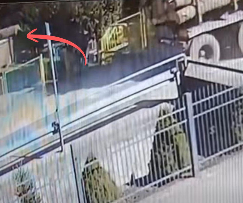 Sceny jak z Oszukać przeznaczenie pod szkołą! Kłoda drewna spadła tuż przy wejściu