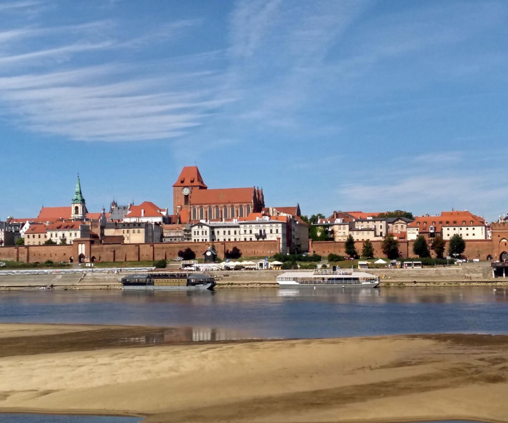 Panorama Torunia