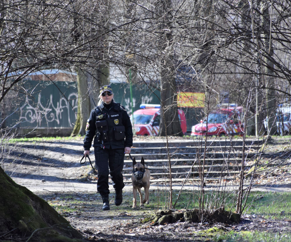 Dzień Wagarowicza 2019. Straż Miejska sprawdza miejsca, gdzie może gromadzić się młodzież
