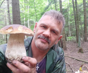Król starachowickich lasów Samotny Wilk
