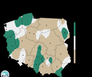 Pogoda na październik 2020. Sonoptycy z IMGW opublikowali długoterminową prognozę na jesień