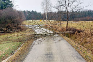 Przed nami wietrzny weekend! Dziś w nocy porywy wiatru do 90 km/h