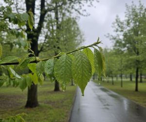 Pogoda w Kielcach na weekend. Po suchym piątku nadejdą dwa dni z opadami deszczu