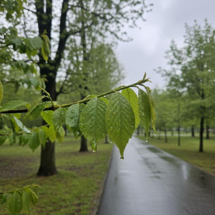 Pogoda w Kielcach na weekend. Po suchym piątku nadejdą dwa dni z opadami deszczu