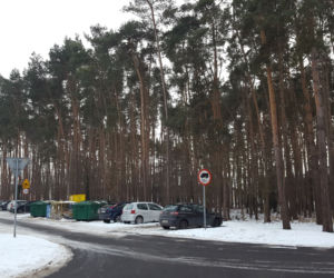 Na osiedlu Rejtana w Lesznie znów wycinane są drzewa. Będa też gdzie indziej