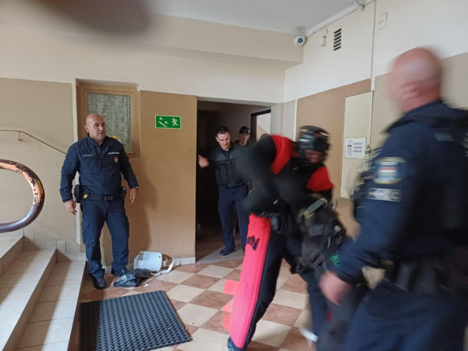 Psy służbowe, szkolenia i strefa pierwszej pomocy. Trwa drugi dzień CERBERUS K9 w Ostrowie