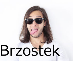 Brzostek