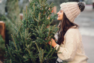 Ruszyła sprzedaż choinek. W tym roku zapłacimy sporą sumę za drzewko świąteczne