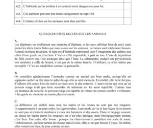 Matura 2020 AKUSZE CKE: j. francuski p. rozszerzony, 4
