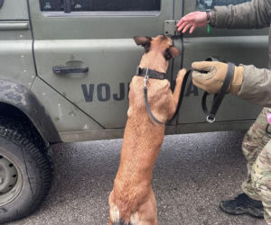 Tajga z lubelskich kontrterrorystów wróciła z międzynarodowego szkolenia