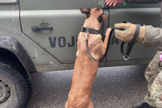 Tajga z lubelskich kontrterrorystów wróciła z międzynarodowego szkolenia