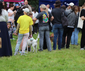 XIII Piknik Przyjaciół Schroniska w Toruniu. Fotorelacja z imprezy