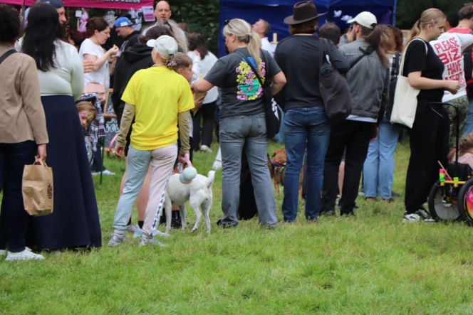 XIII Piknik Przyjaciół Schroniska w Toruniu. Fotorelacja z imprezy