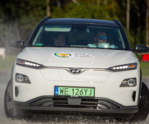 Energy Mix Arval 2020