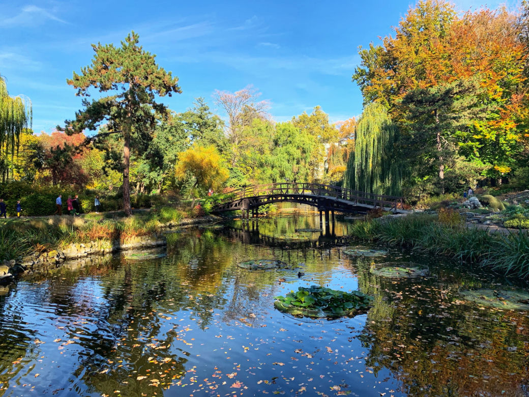 Jesień w ogrodzie botanicznym we Wrocławiu