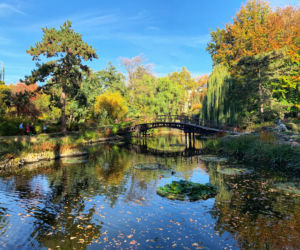 Jesień w ogrodzie botanicznym we Wrocławiu