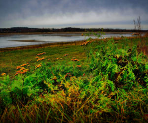 Rekordowo niski poziom wody w zalewie Brodzkim. Remont tamy i jazu Staszica w Brodach