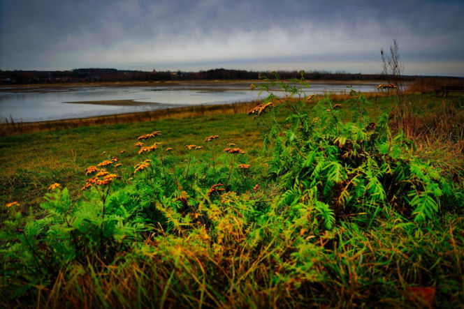 Rekordowo niski poziom wody w zalewie Brodzkim. Remont tamy i jazu Staszica w Brodach