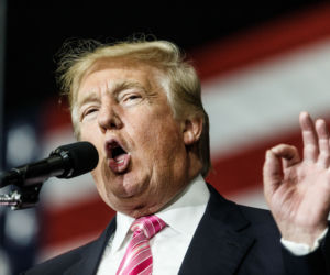 Trumpogąsienica! Owad z Peru wygląda jak Donald Trump
