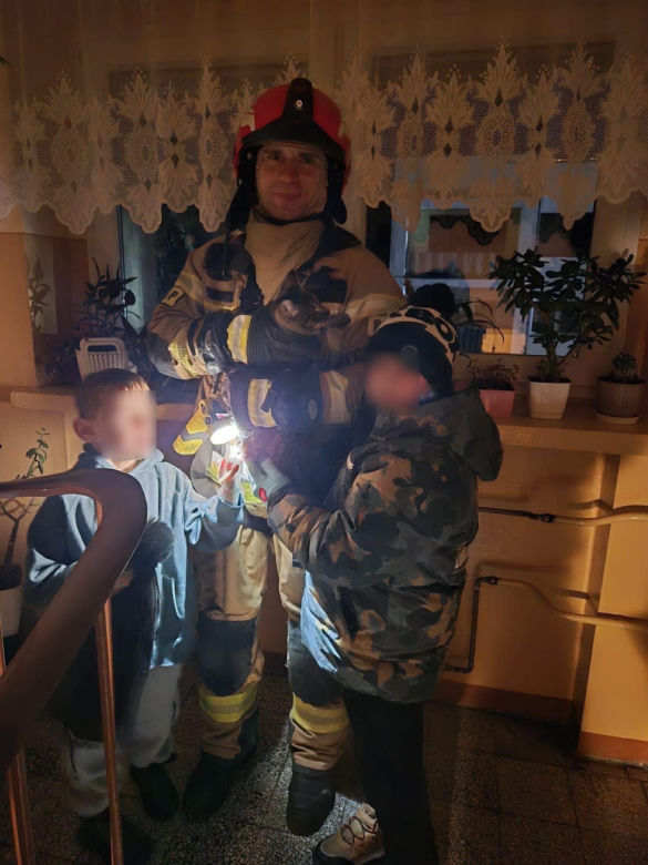 Kot utknął wysoko na drzewie. Spektakularna akcja służb w Ostrowie!