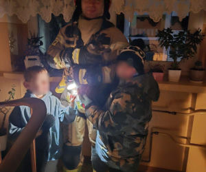 Kot utknął wysoko na drzewie. Spektakularna akcja służb w Ostrowie!