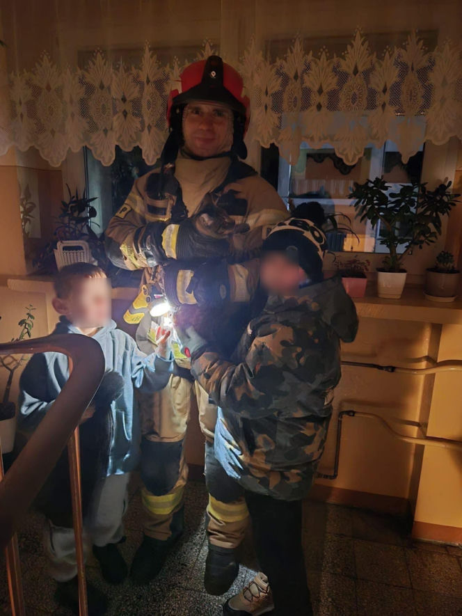 Kot utknął wysoko na drzewie. Spektakularna akcja służb w Ostrowie!