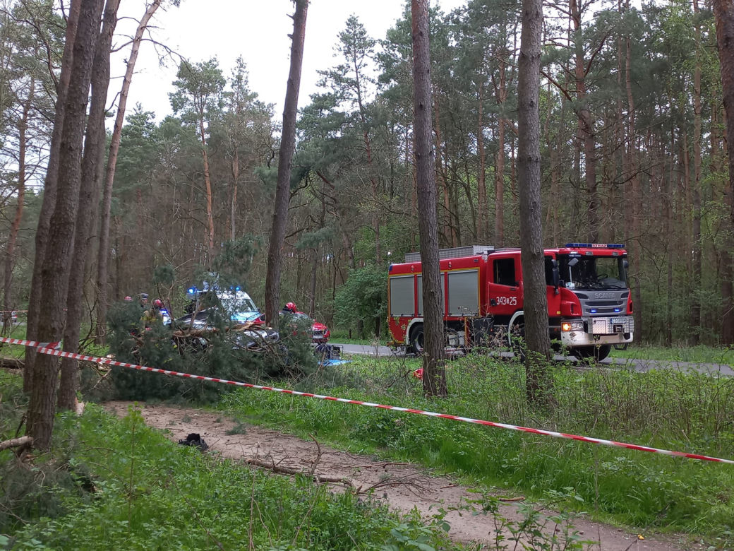 Śmiertelny wypadek pod Toruniem! 36-latek z citroena nie żyje 