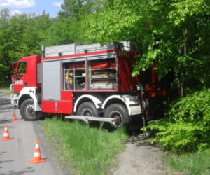 Ucieczka krowy zakończyła się nieszczęśliwym wypadkiem