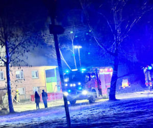 Padło ok. 20 byków. W Mościszkach palił się budynek inwestarski