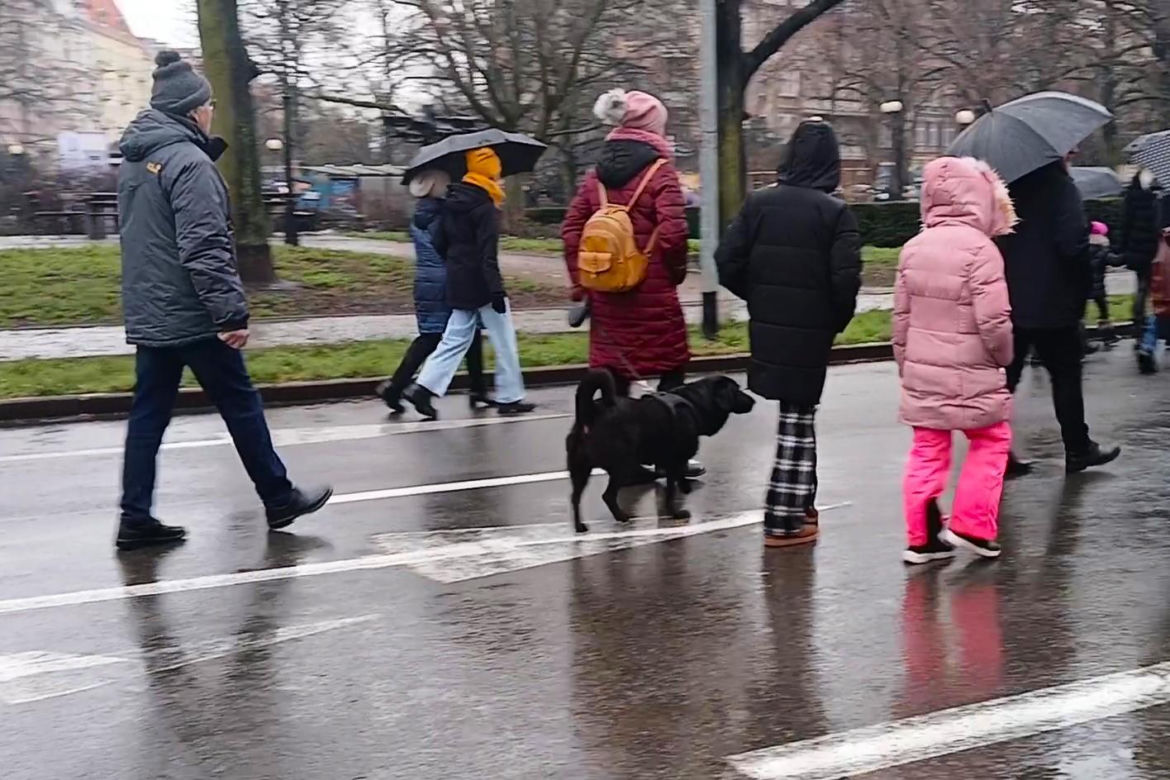Orszak Trzech Króli w Szczecinie