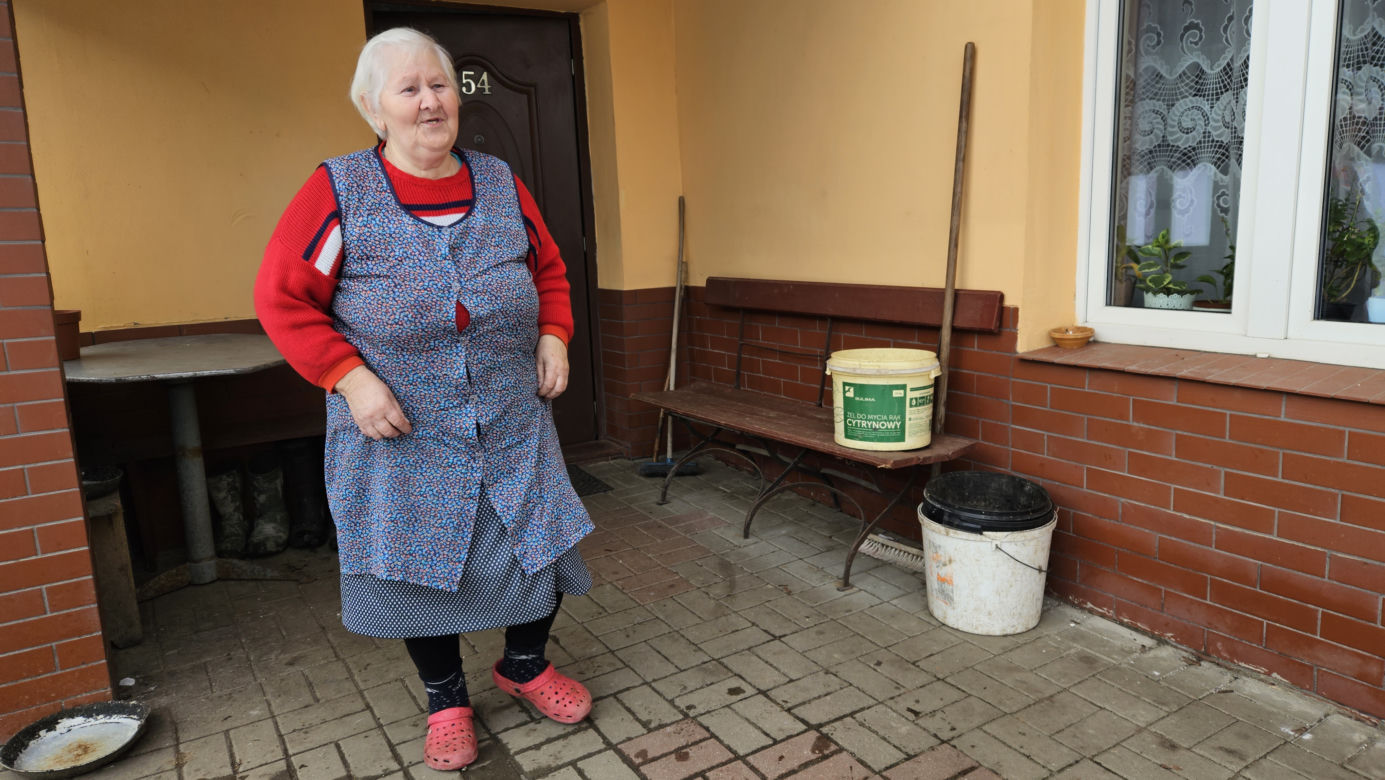 Wilki zjadły mojego Cygana