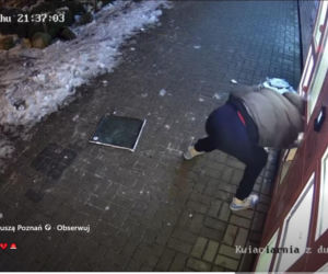 Roztrzaskał kwiatomat i uciekł z bukietem! „To boli bardziej niż strata pieniędzy”