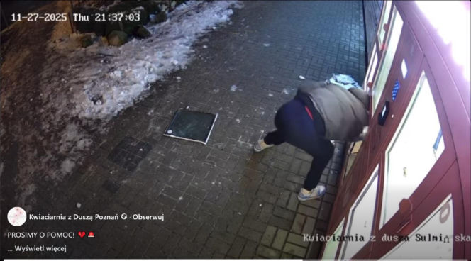 Roztrzaskał kwiatomat i uciekł z bukietem! „To boli bardziej niż strata pieniędzy”