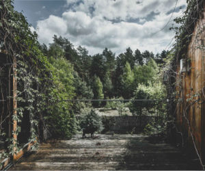 Jungle House - dom wśród drzew