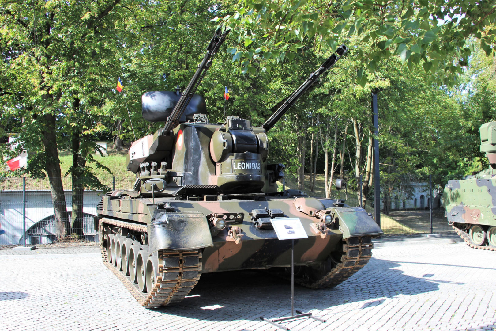 Rumuński Gepard