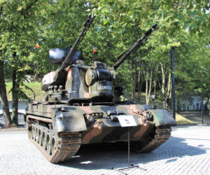 Rumuński Gepard