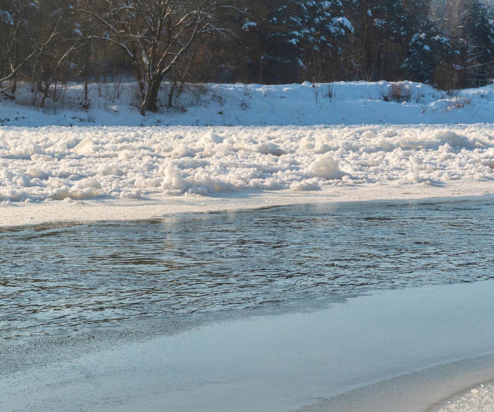 Zdjęcie ilustracyjne