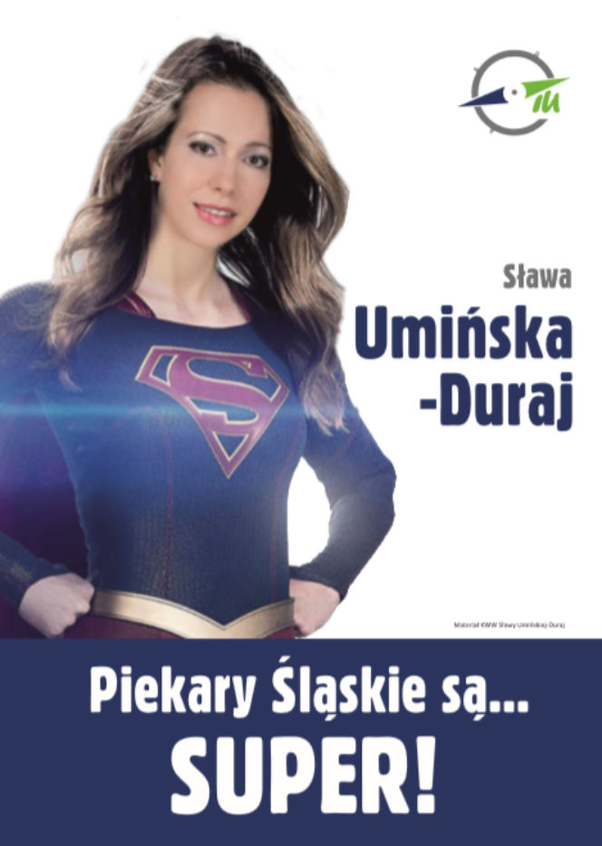 Mistrzowie kampanii