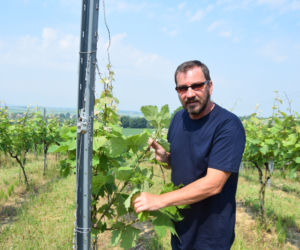 Dariusz Rosół. Pierwszy winiarz w Polsce, który może robić wino mszalne