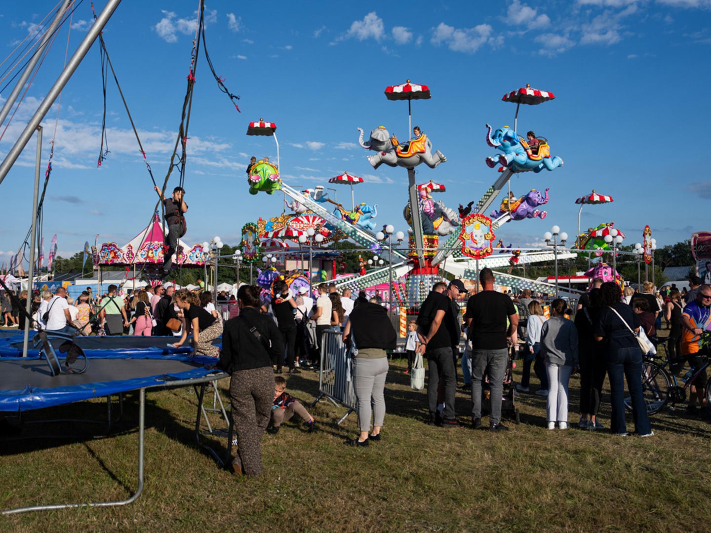 Milicz zaprasza na karpiowe święto! karpFEST - Festiwal Karpia Milickiego 2026 już we wrześniu