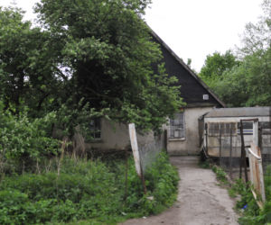Psy rozszarpały człowieka na wózku