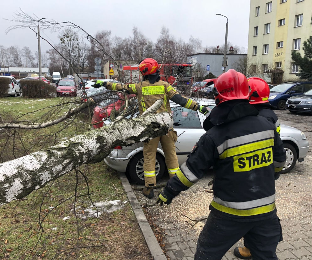 Strażacy usuwają skutki silnego wiatru