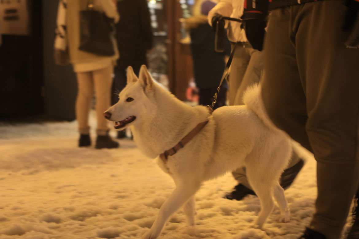 Śnieżny Lublin wieczorową porą