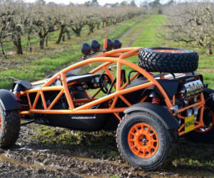 Ariel Nomad