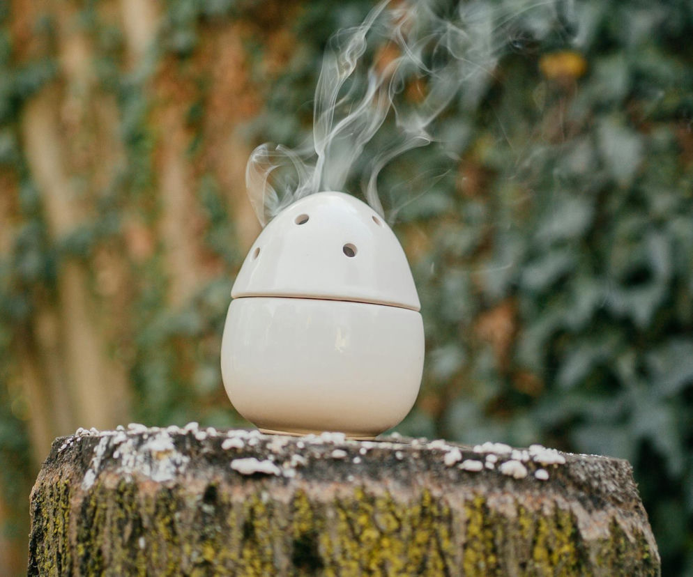 Ceramiczny dyfuzor w kształcie jaja, emitujący dymek, stoi na pniu drzewa pokrytym mchem i drobnymi grzybami. Zdjęcie ilustruje, jak niewłaściwe nawilżanie powietrza może generować smog i wpływać na zdrowie, o czym przeczytasz na portalu Poradnik Zdrowie.