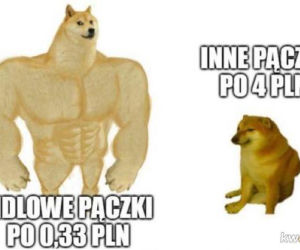 MEMY na Tłusty Czwartek 2026