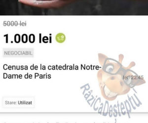 Fałszywy popiół z katedry Notre Dame na sprzedaż