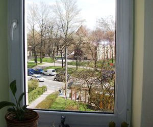 Zdjęcie 6271