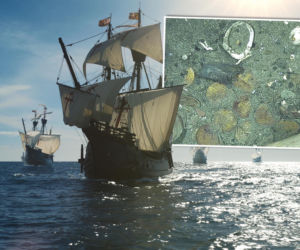 Skarb odkryty na dnie morza! We wraku statku klejnoty za 17 miliardów