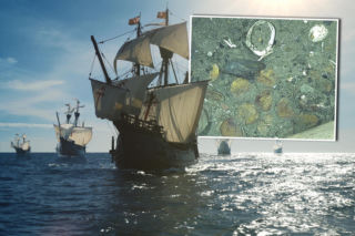 Skarb odkryty na dnie morza! We wraku statku klejnoty za 17 miliardów